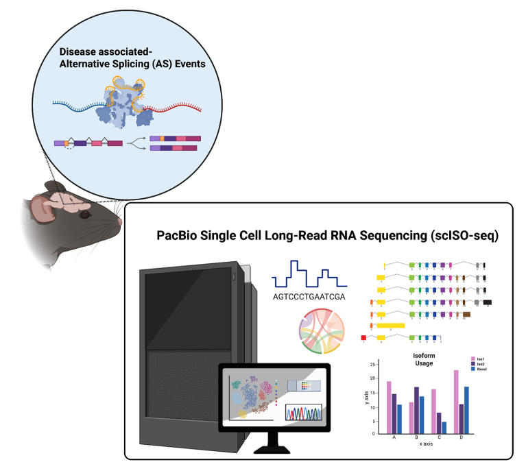 reserach-ad-alt-splicing